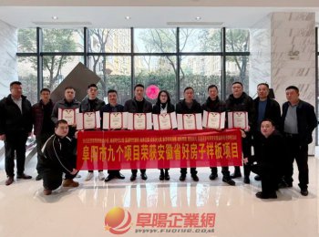 阜陽市房地產(chǎn)業(yè)協(xié)會(huì)召開2025年度安徽省“好房子”頒獎(jiǎng)會(huì)議