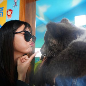 春游之際，臨泉魔幻動物園與您有個約“惠”