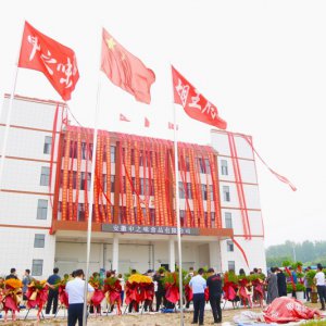 安徽胡王府：預制菜產(chǎn)業(yè)新生力量，助推鄉(xiāng)村振興