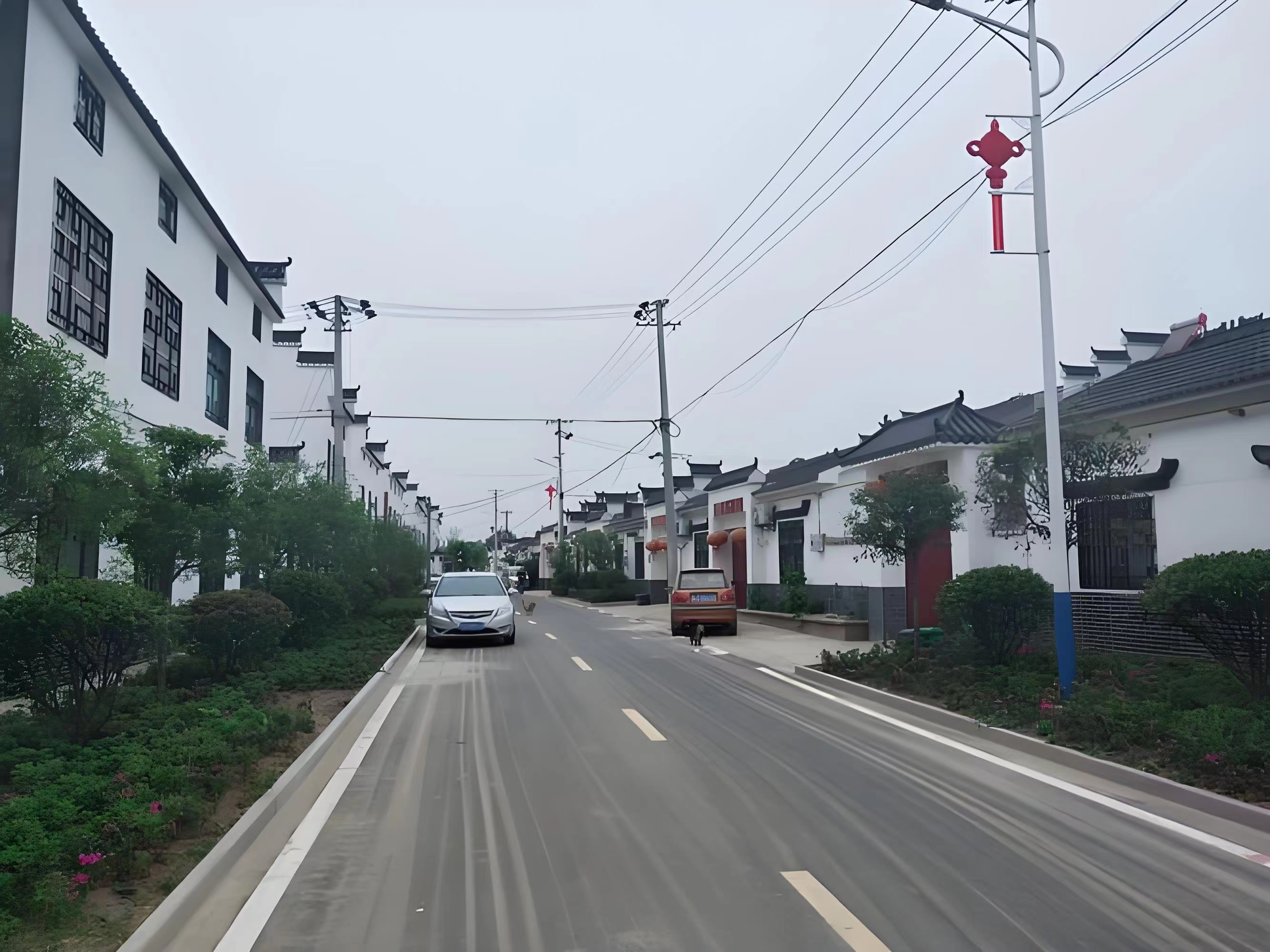 傳承紅色基因，續(xù)寫潁上黃壩發(fā)展新篇章