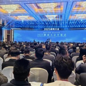 2025徽商大會(huì)在合肥盛大開幕