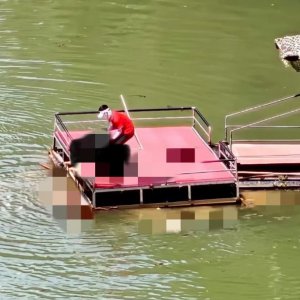 馬上評｜蹦極不是玩命，景區(qū)安全之繩絲毫松不得